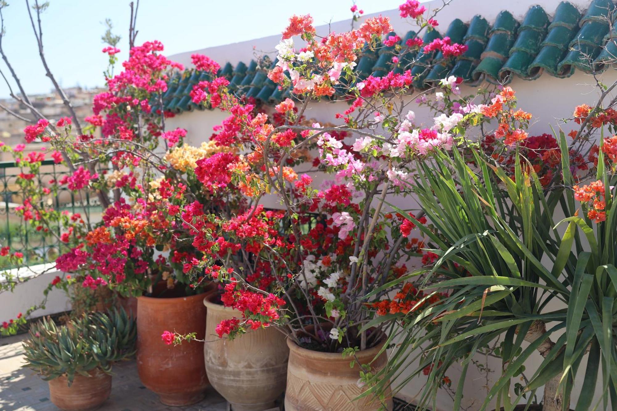Riad Batchisarai เฟส ภายนอก รูปภาพ